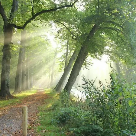 Emma's Atelier 3*